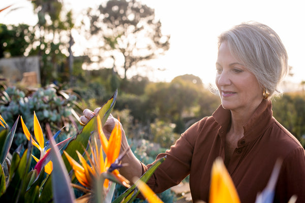 Isa Lazo on Location: The White Isle